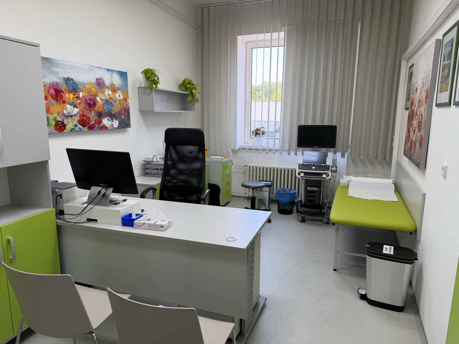 Vyšetřovna ambulance Endonova