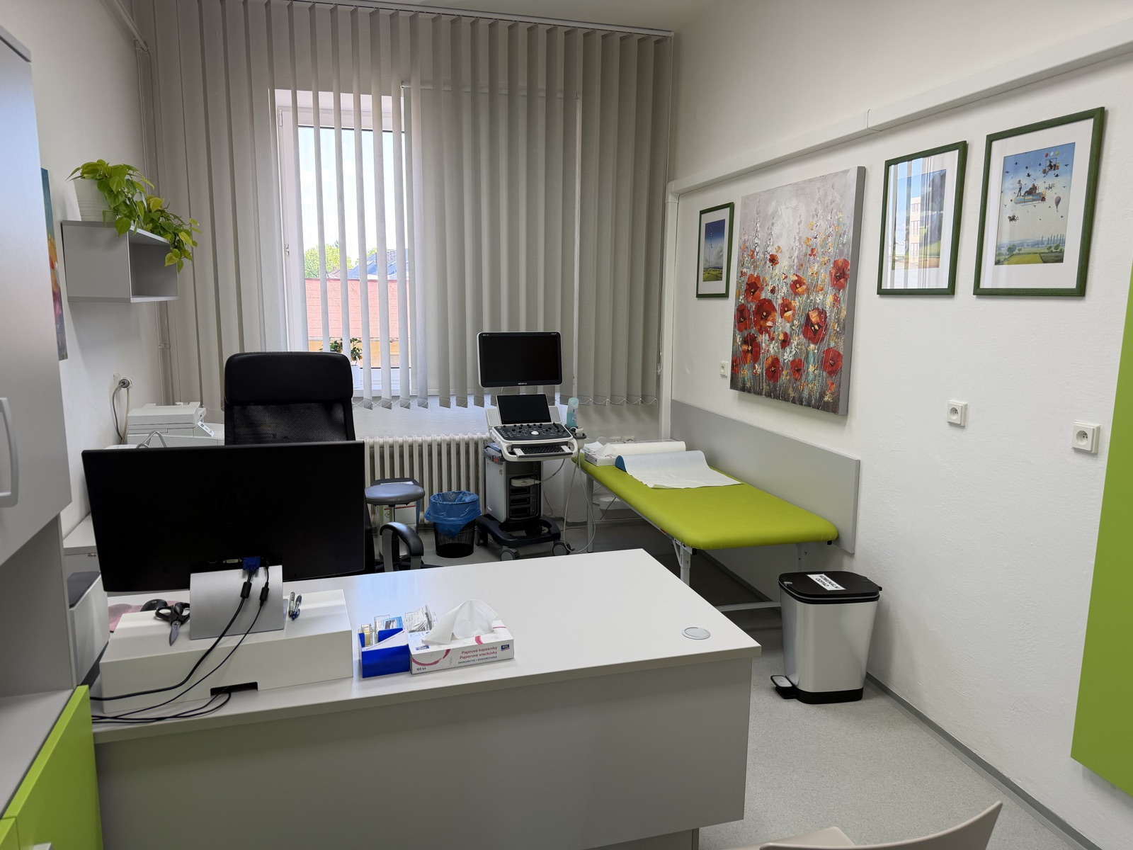 Vyšetřovna ambulance Endonova